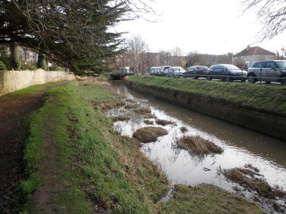 View of Kinness Burn with trees on the left and cars parked along the road on the right.