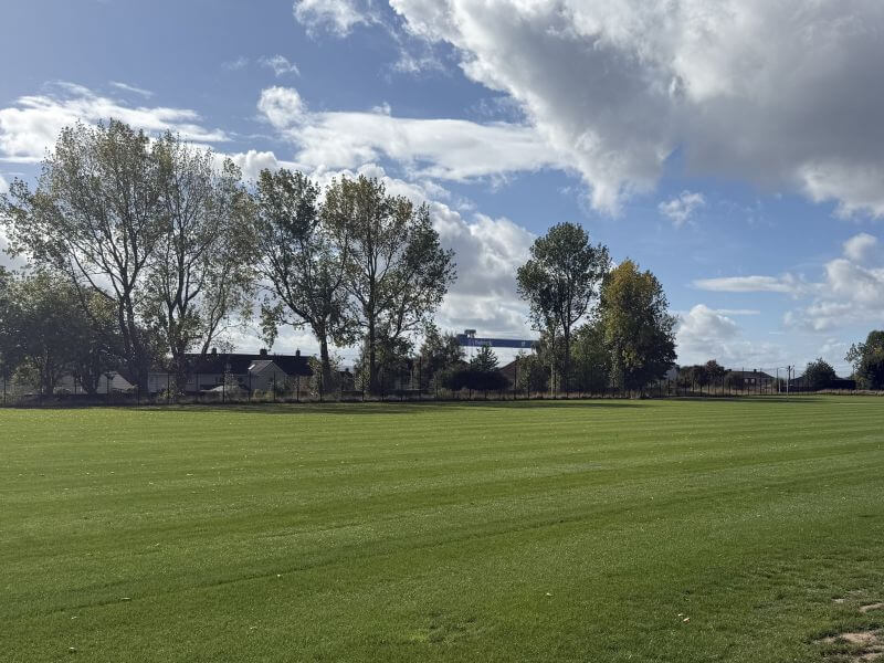 Side on image of a grass pitch with trees bordering the boundary fence in front of a row of houses