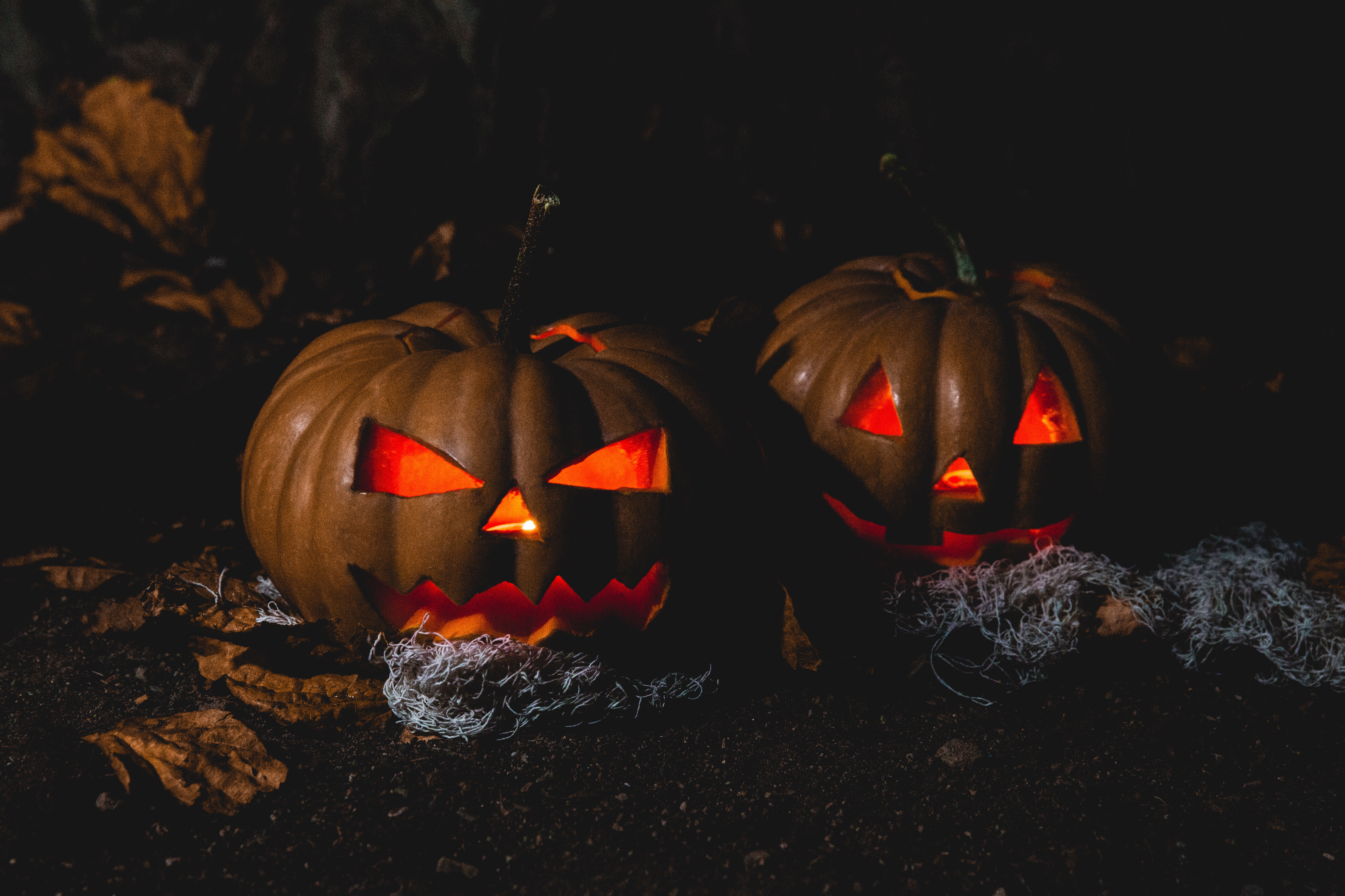 Two pumpkins