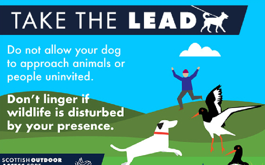 A poster reading: Take the Lead, Do not allow your dog to approach animals or people uninvited. Don't linger if wildlife is disturbed by your presence. A poster reading: Take the Lead, Do not allow your dog to approach animals or people uninvited. Don't linger if wildlife is disturbed by your presence.
