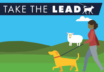 Graphic of a person walking a dog, on a lead, with a sheep standing nearby Graphic of a person walking a dog, on a lead, with a sheep standing nearby