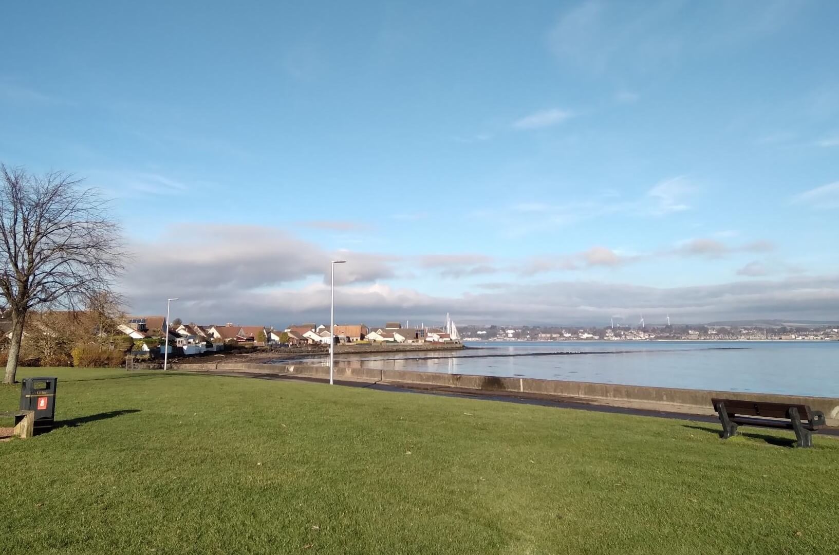 Coastal park with grass with a bench on the right. A leafless tree stands at the edge. Houses line the coast in the background, with water and distant boats under a mostly clear sky.