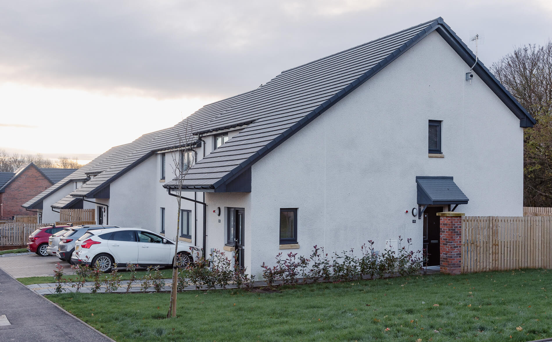 Ewart Road Modern semi-detached houses with white walls and grey roofs, cars parked in driveways, and a grassy front area.