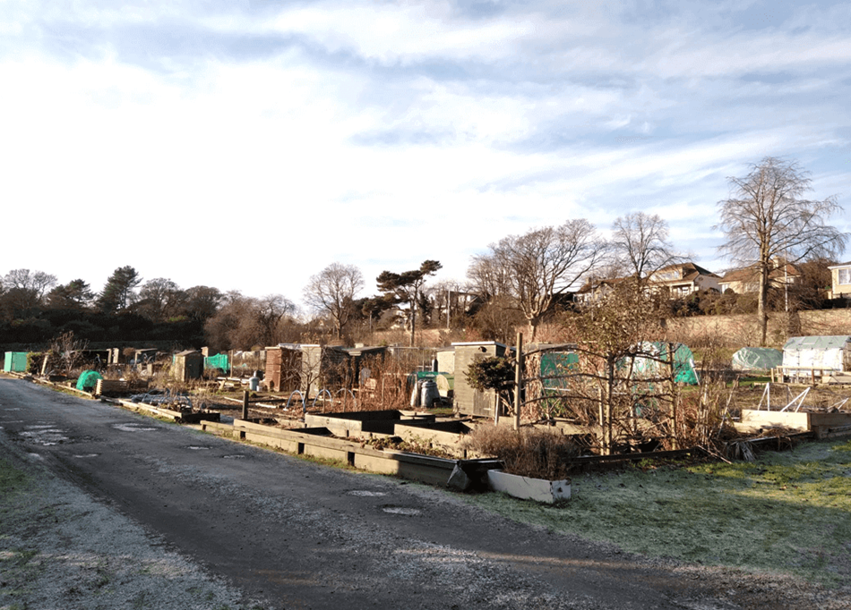 Allotment with sheds and greenhouses with a gravel path at the front