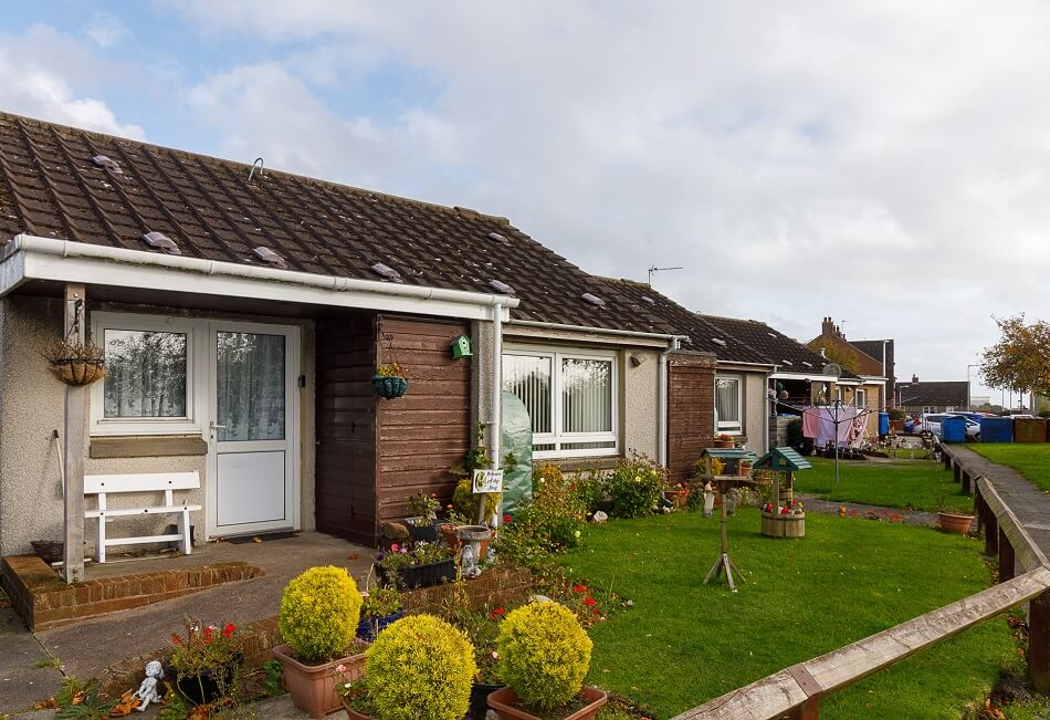 Bungalows at McFarlane Court, with small front gardens with plants and flowers