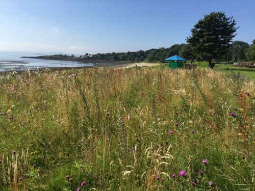 Wildflower meadow beside a sandy coastline with a small green hut and trees in the background - £750,000 VisitScotland funding boost for Aberdour’s Silver Sands