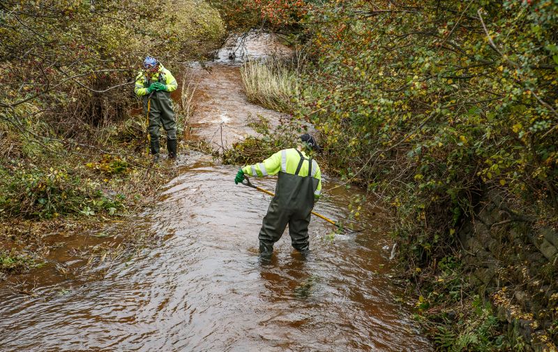 Two men in waders clearing bushes and debris from a river