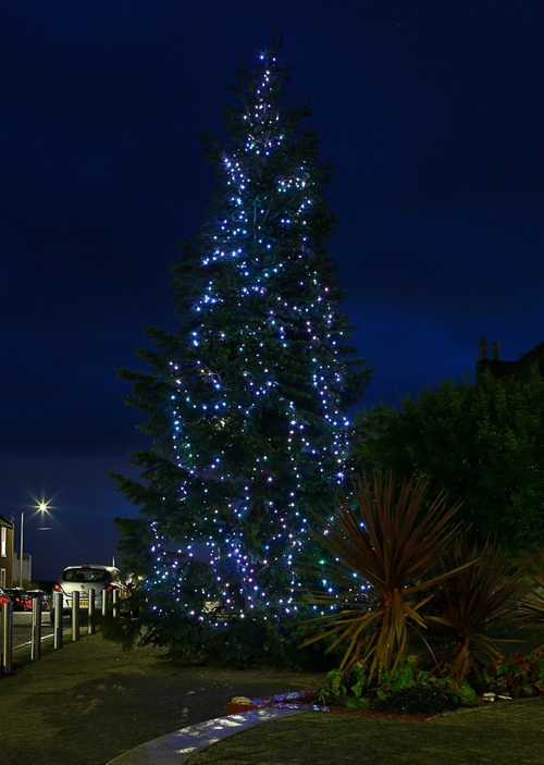 Kinghorn Christmas tree