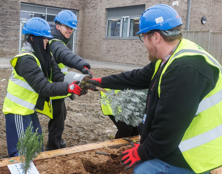 A group of people wearing blue hard hats, high visibility vests and protective gloves work together at a raised planter. One person holds a potted shrub while two others help to take it out of a pot.