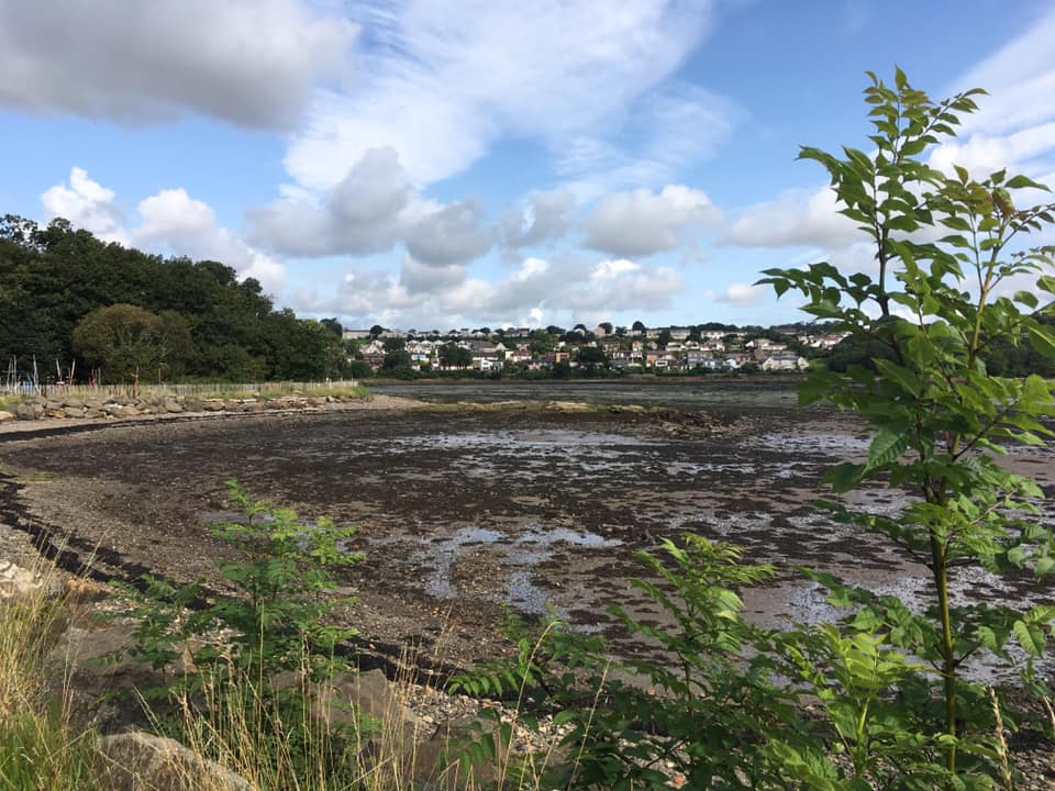 A photograph of the bay at Dalgety Bay