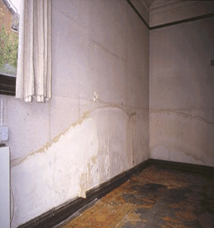 Brown water marks, in tide shapes, on the bottom of a internal wall, caused by rising damp
