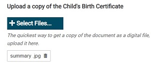 Upload Example of Child's Birth Certificate