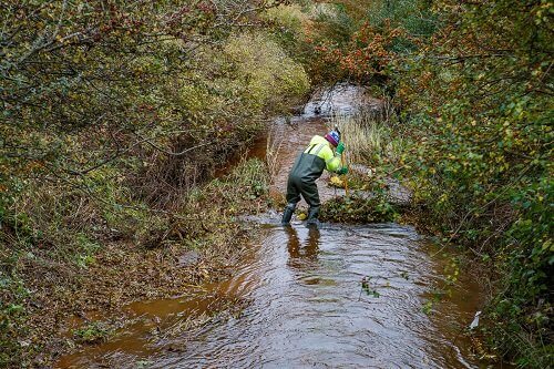 Person in waders standing in a small river clearing debris from it