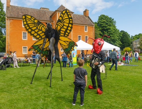 Giant insects entertaining kids - ‘Tree in the Park’ festival leaves Dunfermline energised
