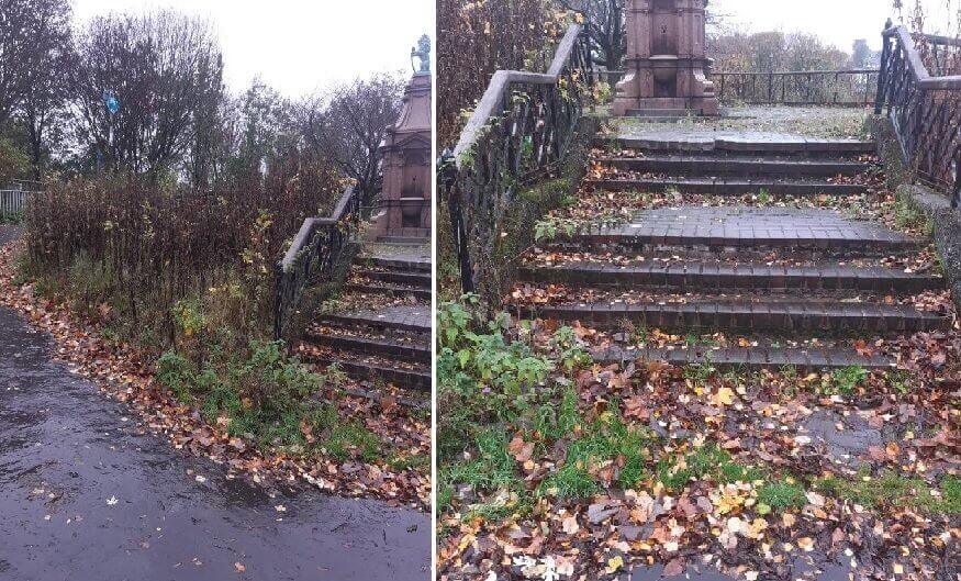 The area before the clean up showing the moss and weeds