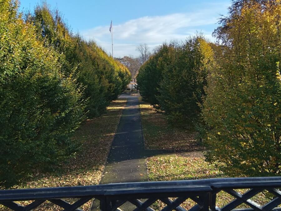 Tree-lined path in Haugh Park leading to a flag, seen from a black railing.