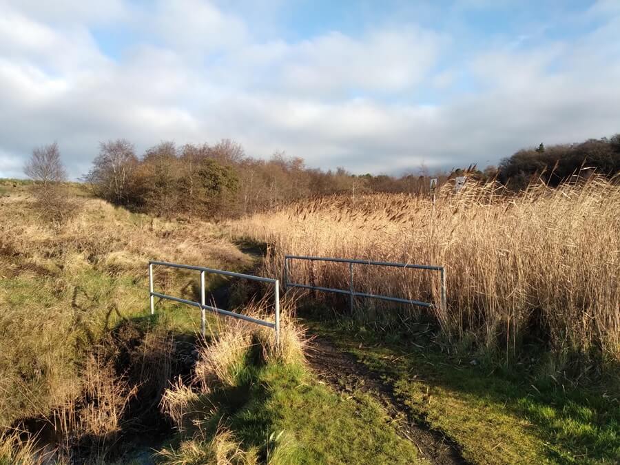 Photo of small bridge with metal handrail