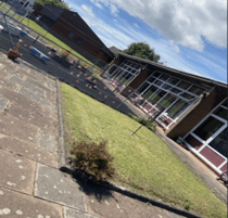 A small grassy area with flowers, surrounded by paving slabs.