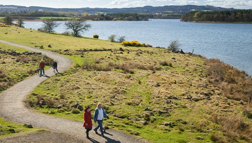 Lochore meadows park