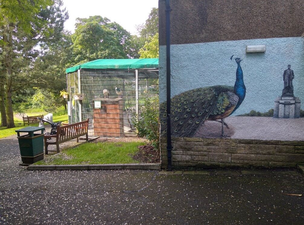 Pittencrieff Park Peacock Sanctuary