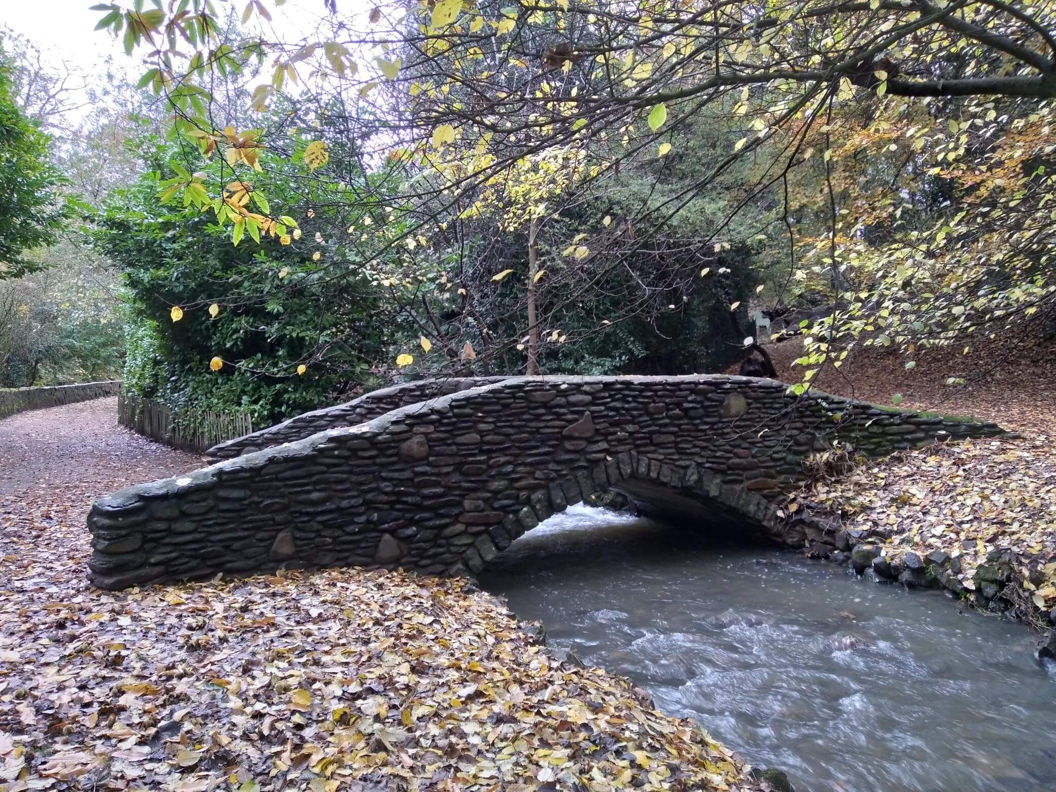  Letham Glen woodland bridge