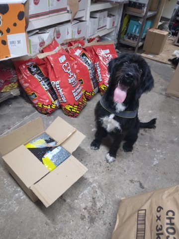 Sniffer dog sits next to illegal tobacco products 