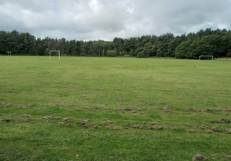 A large grassy field at Gilvenbank Park with three goals and dense trees in the background