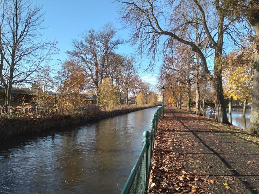Haugh Park in Cupar showing the river eden, bare trees and a leaf-covered path under a clear blue sky