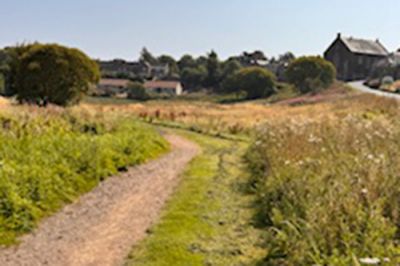 Camby path