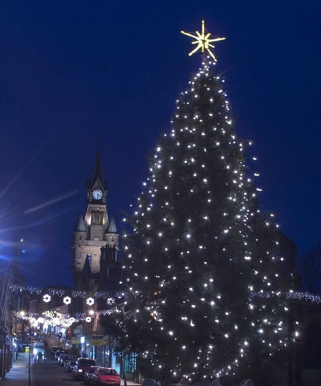 Christmas tree and lights