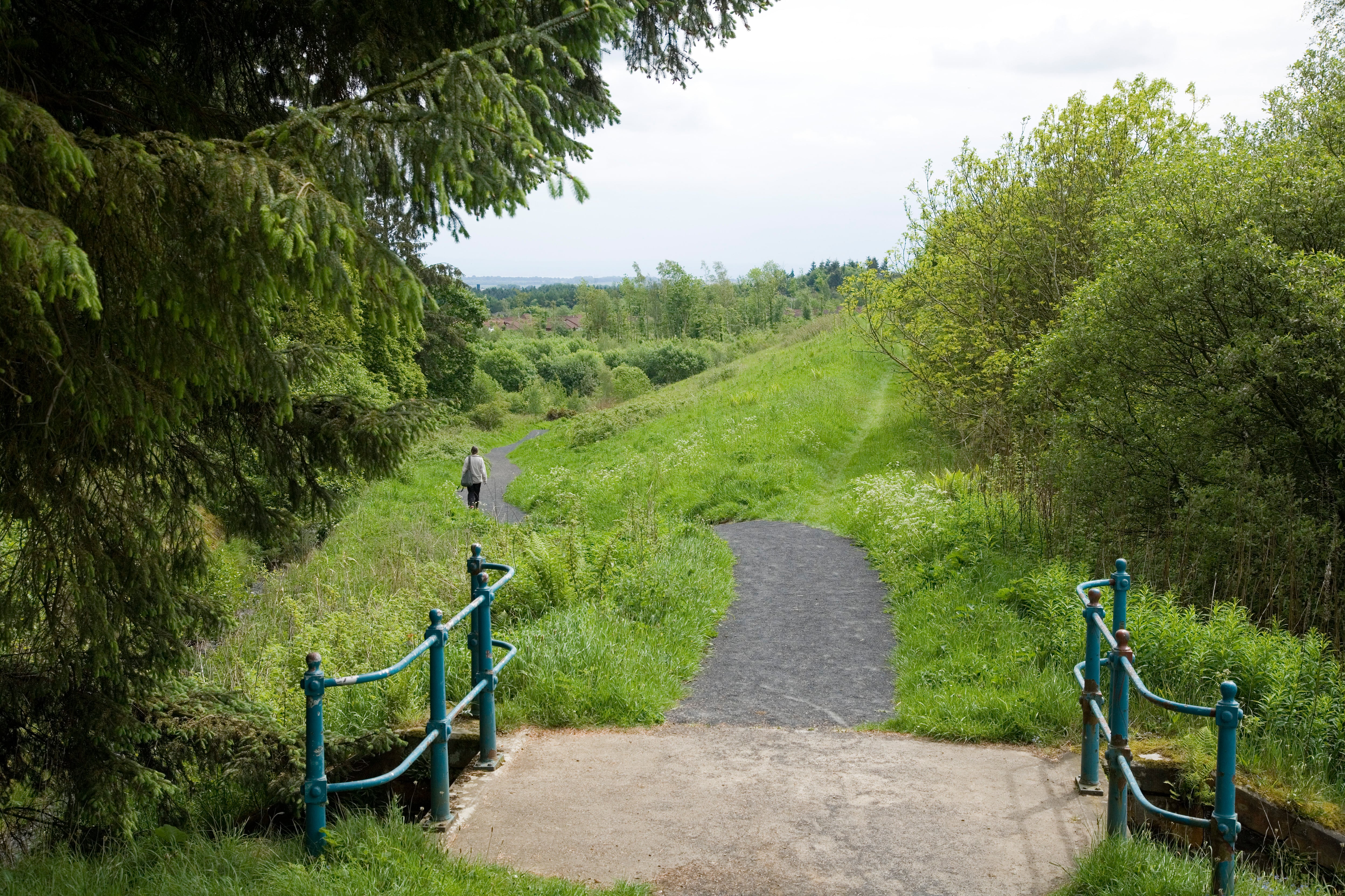 Picture showing a footpath in the Coul Den Park