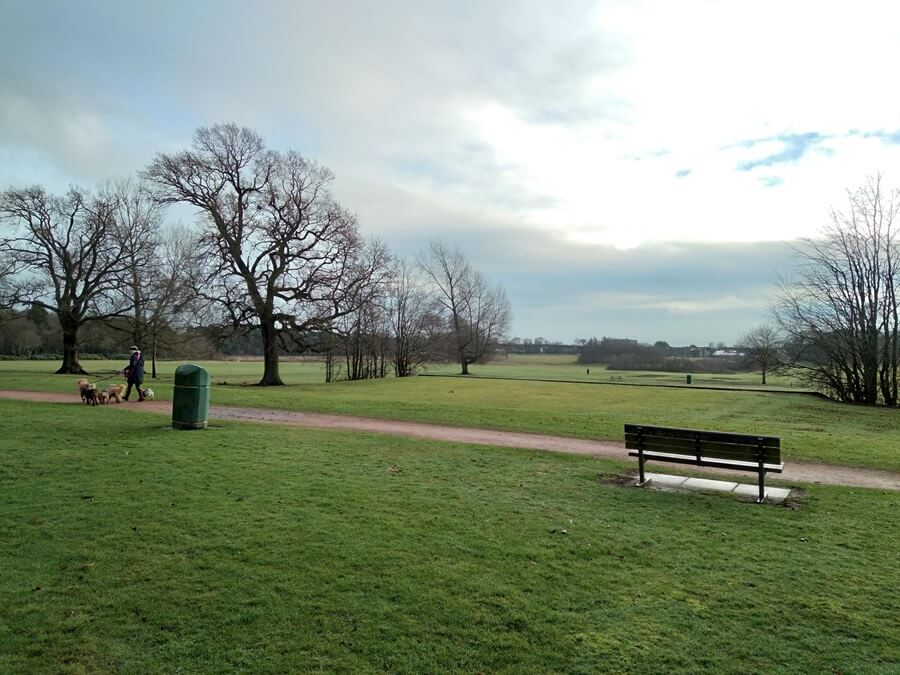 A wide open grassy area in Dunnikier Park with bare trees, a walking path, a green litter bin, and an empty bench. A person is walking three dogs along the path under a cloudy sky.