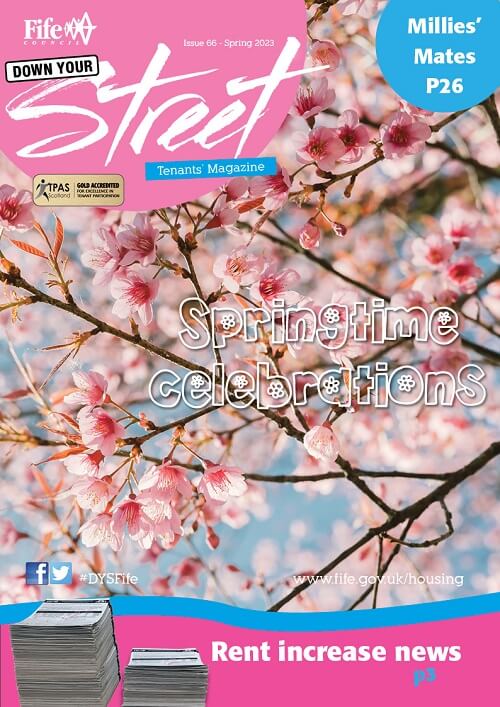 Spring edition of DYS magazine