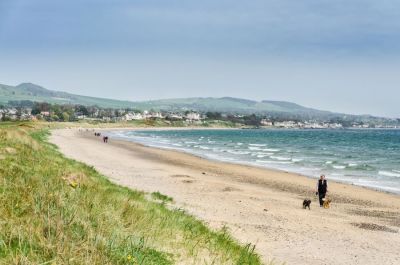 View of a long expanse of sand with grassy dunes. The view is looking  towards Lundin Links. The waves are rolling in and we can see a woman on the beach walking two medium sized dogs and some more walkers in the distance