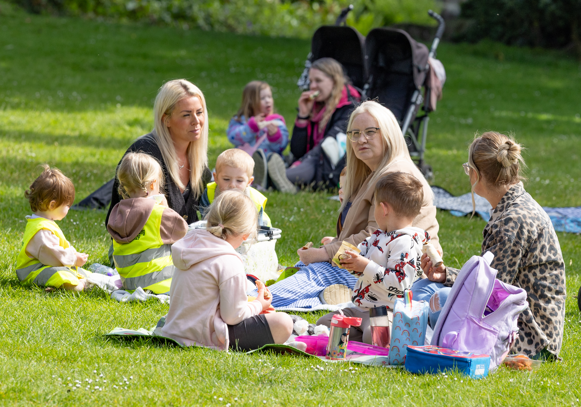 Teddy Bears Picnic