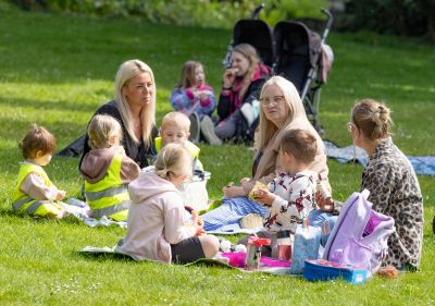 Teddy Bears Picnic