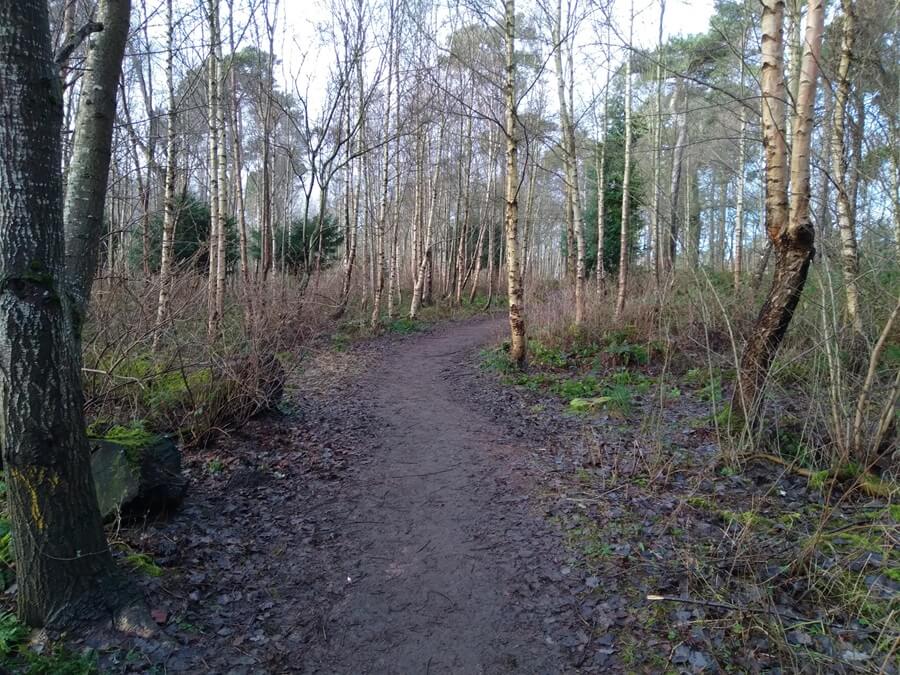 Wooded area muddy hard ground path through Dunnikier Park with trees on both sides