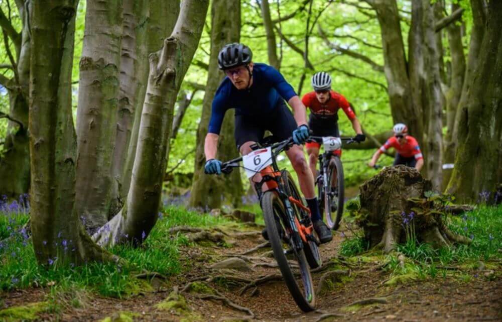 Three cyclists riding mountain bikes along a narrow forest trail with tree roots and greenery surrounding them