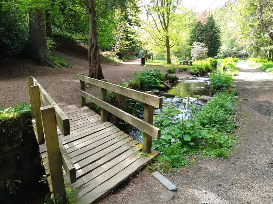 Wooden bridge going over Balbirnie Park back burn