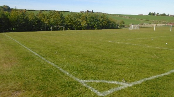 A green football pitch is visible. White lines mark the pitch. Trees are in the background