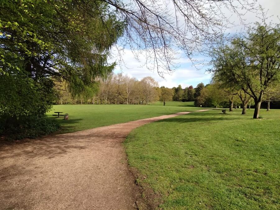 Gravel type path going through Balbirnie Park with grass and trees on either side