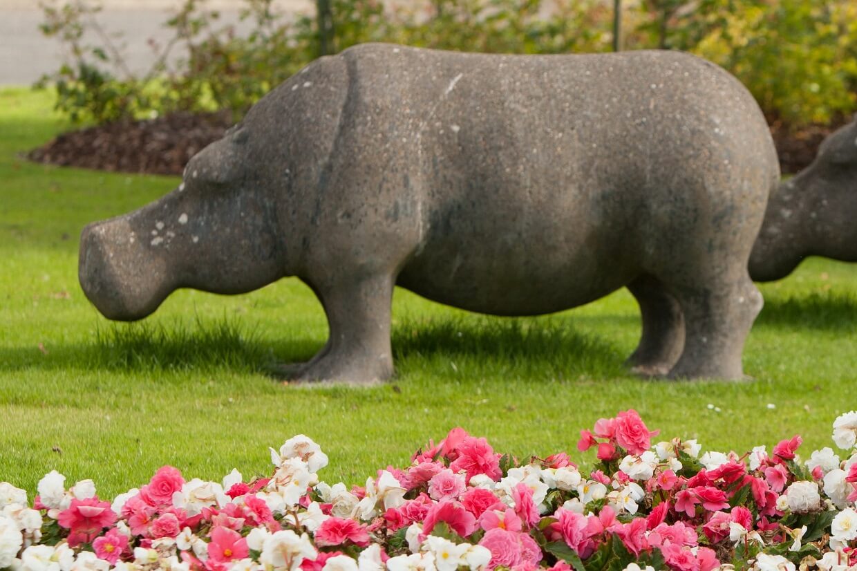 A large, gray stone statue of a hippopotamus standing on a grassy area with colourful flowers